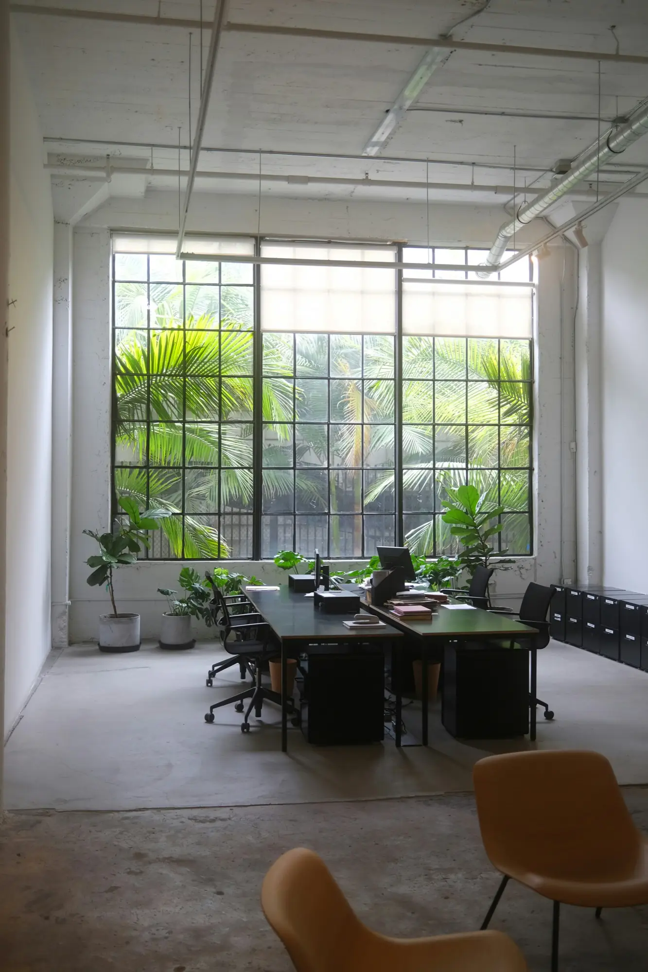 Un espace de travail lumineux, ouvert sur des palmiers